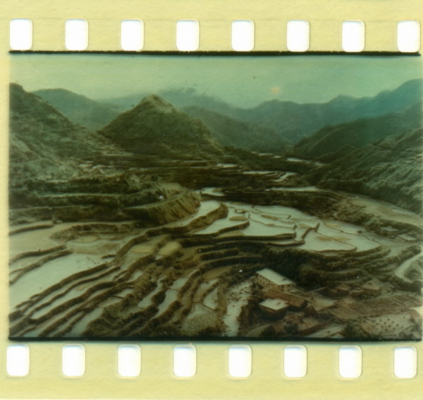 Văi terasate în Filipine